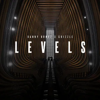 Levels by Grizzle