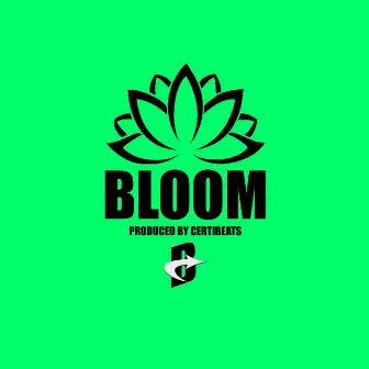 BLOOM by B-Turn