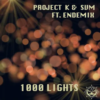 1000 Lights (Original Extended Mix) by Project K