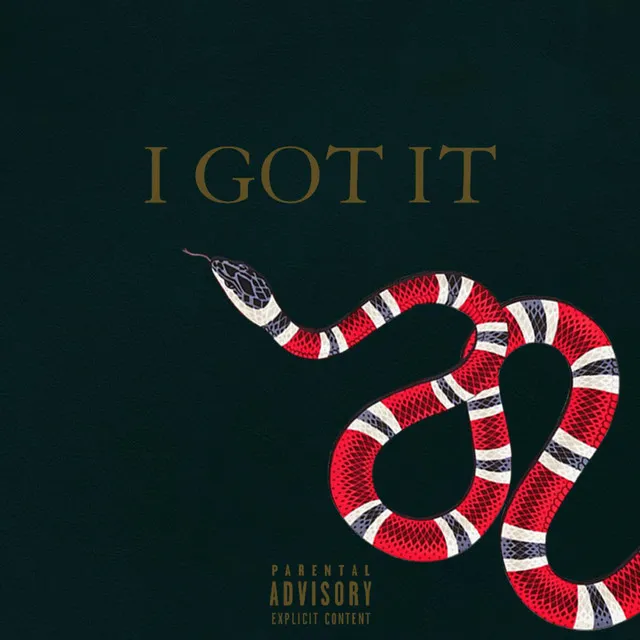 I Got It (feat. Dudda Dash & Freysh)