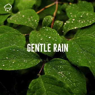 Gentle Rain by Relaxing Rain Recordings