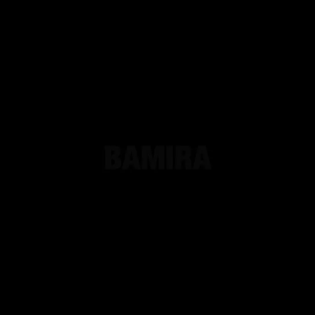 BAMIRA