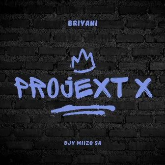 PROJECT X by Djy Miizo SA