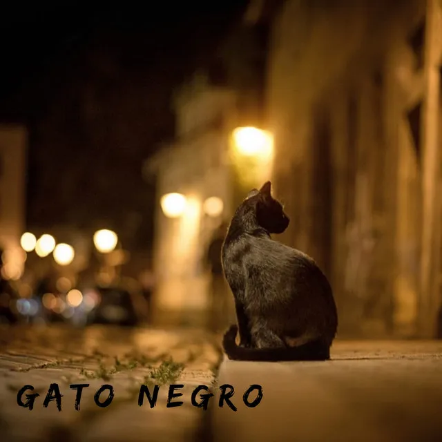 GATO NEGRO