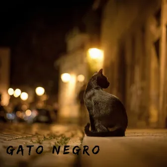 GATO NEGRO by AKUS19