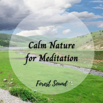 Forest Sound: Calm Nature for Meditation by Music for Sleep