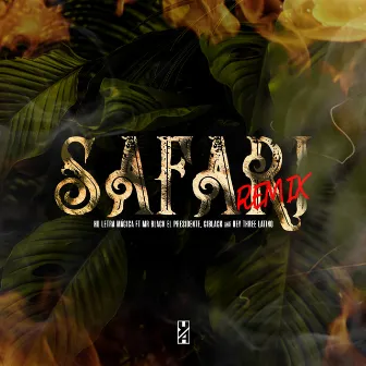 Safari (Remix) by HD Letra Mágica