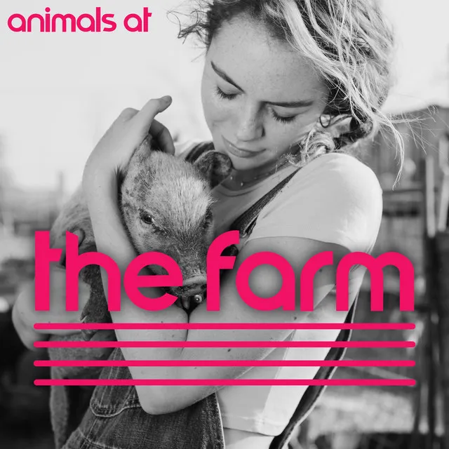 Animals At The Farm – Countryside Nature Ambient Sounds