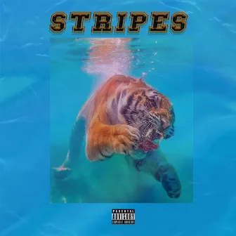 Stripes by Zay Miles