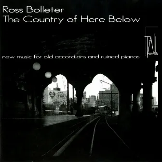 The Country of Here Below by Ross Bolleter