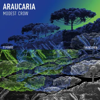 Araucaria by Modest Crow