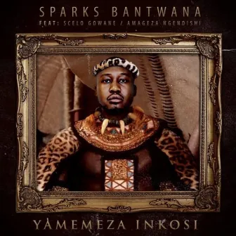 Yamemeza Inkosi by Sparks Bantwana