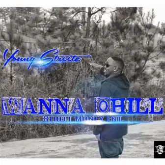 Wanna Chill (feat. Charli Swagg) by Young Streetz