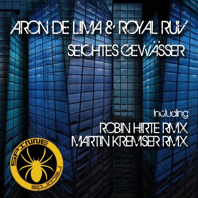 Seichtes Gewasser - Robin Hirte Remix