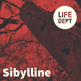 Sibylline by Life Department