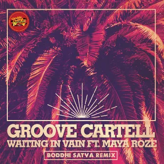 Waiting In Vain (Boddhi Satva Remix) by Groove Cartell