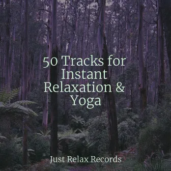 50 Tracks for Instant Relaxation & Yoga by Sleepy Night Music