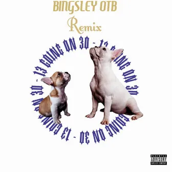 13 Going 30 by Bingsley otb