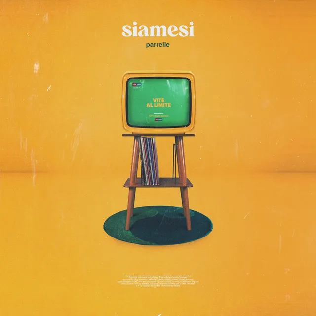 siamesi