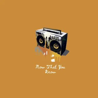 Now That You Know by Mic Lavar