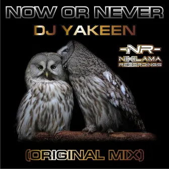 Now or Never by DJ Yakeen