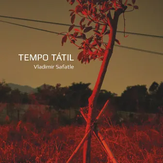 Tempo Tátil by Vladimir Safatle