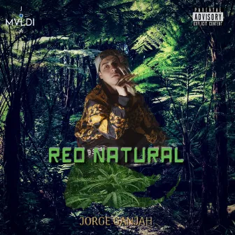 Reo Natural by Jorge Ganjah