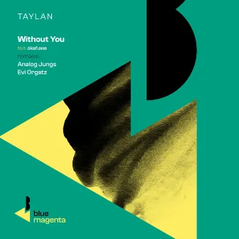 Without You (Remixes) by Evi Orgatz