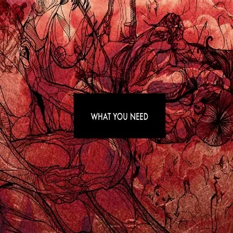 What You Need by Seth Dyer