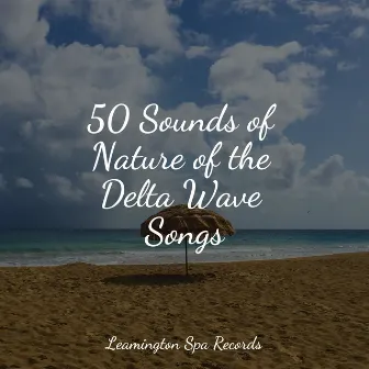 50 Sounds of Nature of the Delta Wave Songs by Sounds Of Nature: Thunderstorm