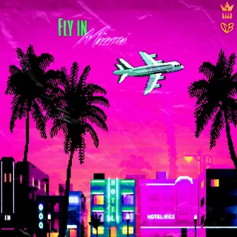 Fly in Miami by Sir Sirio