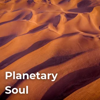 Planetary Soul by Aari Kumar