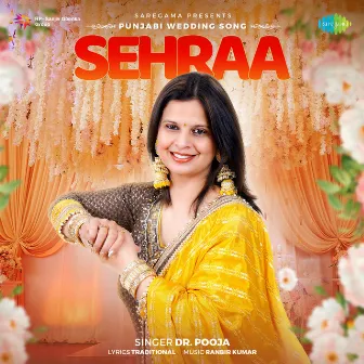 Sehraa - Single by Dr. Pooja