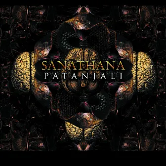 Patanjali by Sanathana