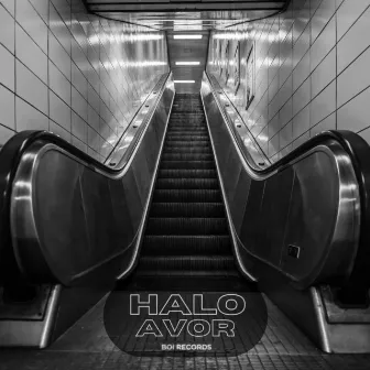 Halo by AVOR