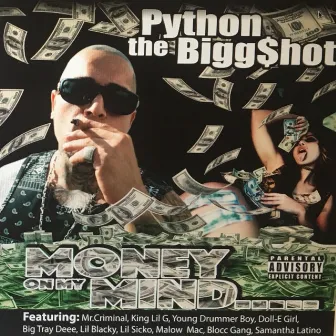 Money on My Mind by Python the Biggshot