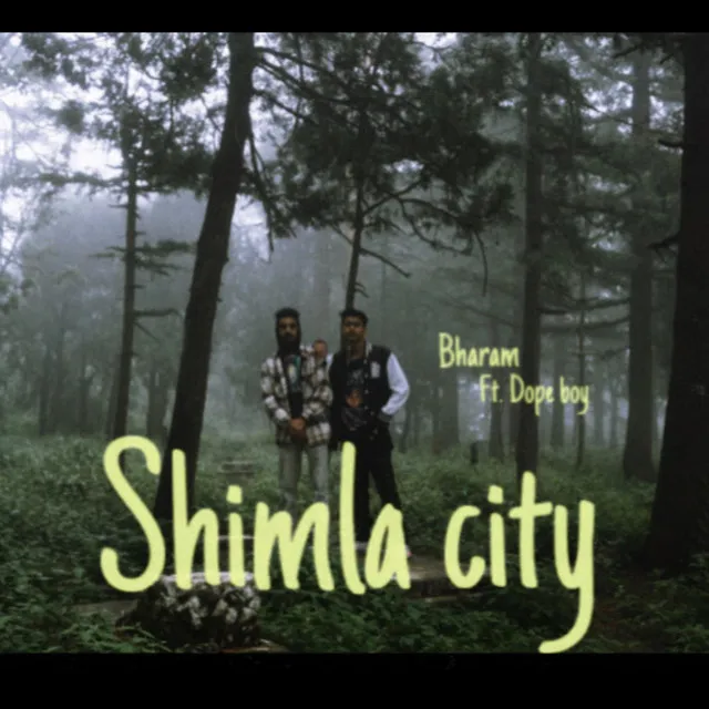 Shimla city