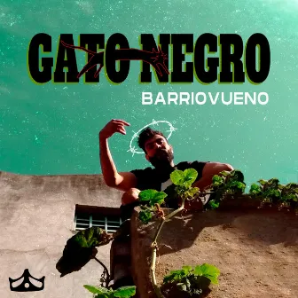 Gato Negro by Barriovueno