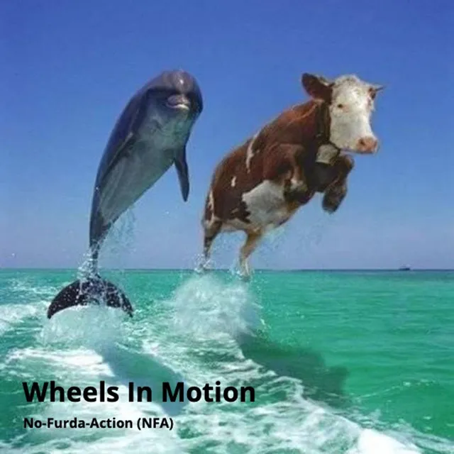 Wheels in Motion