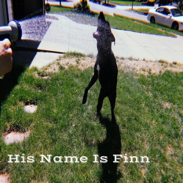 His Name Is Finn