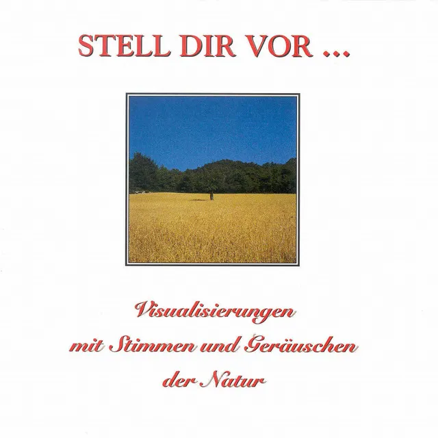 Stell Dir vor