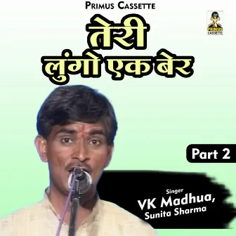 Teri Lungo Ek Ber Part-2 (Hindi) by V. K. Madhua