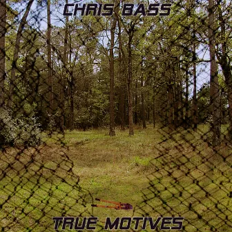 True Motives by Chris Bass