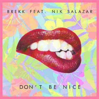 Don't Be Nice (feat. Nik Salazar) by Brekk