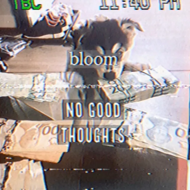 No Good Thoughts