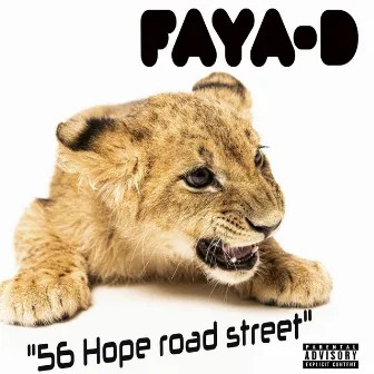 56 Hope Road Street by Faya D