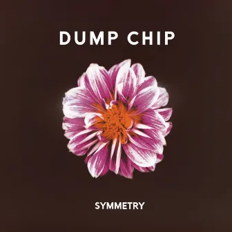 Symmetry by Dump Chip