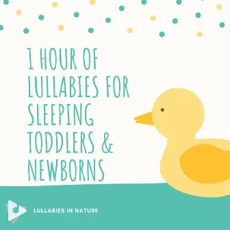 1 Hour of Lullabies for Sleeping Toddlers & Newborns by Lullabies In Nature