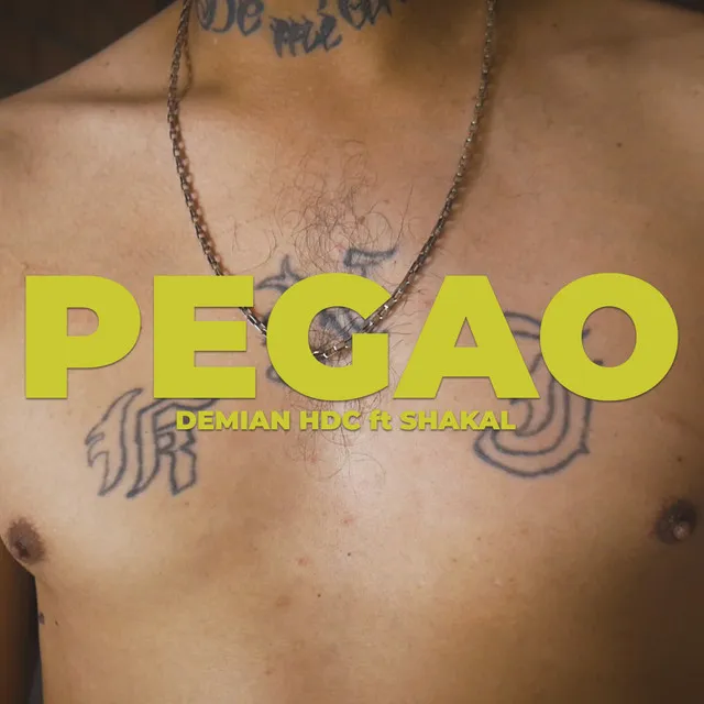 Pegao