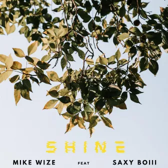 Shine by Mike Wize